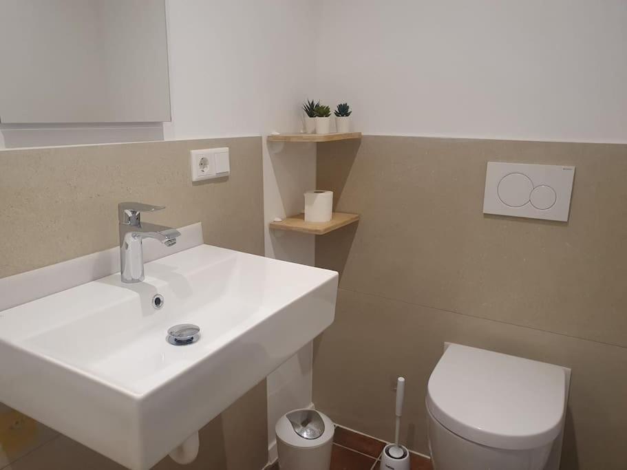 Apartment-Top Lage Koeln Гюрт Екстер'єр фото